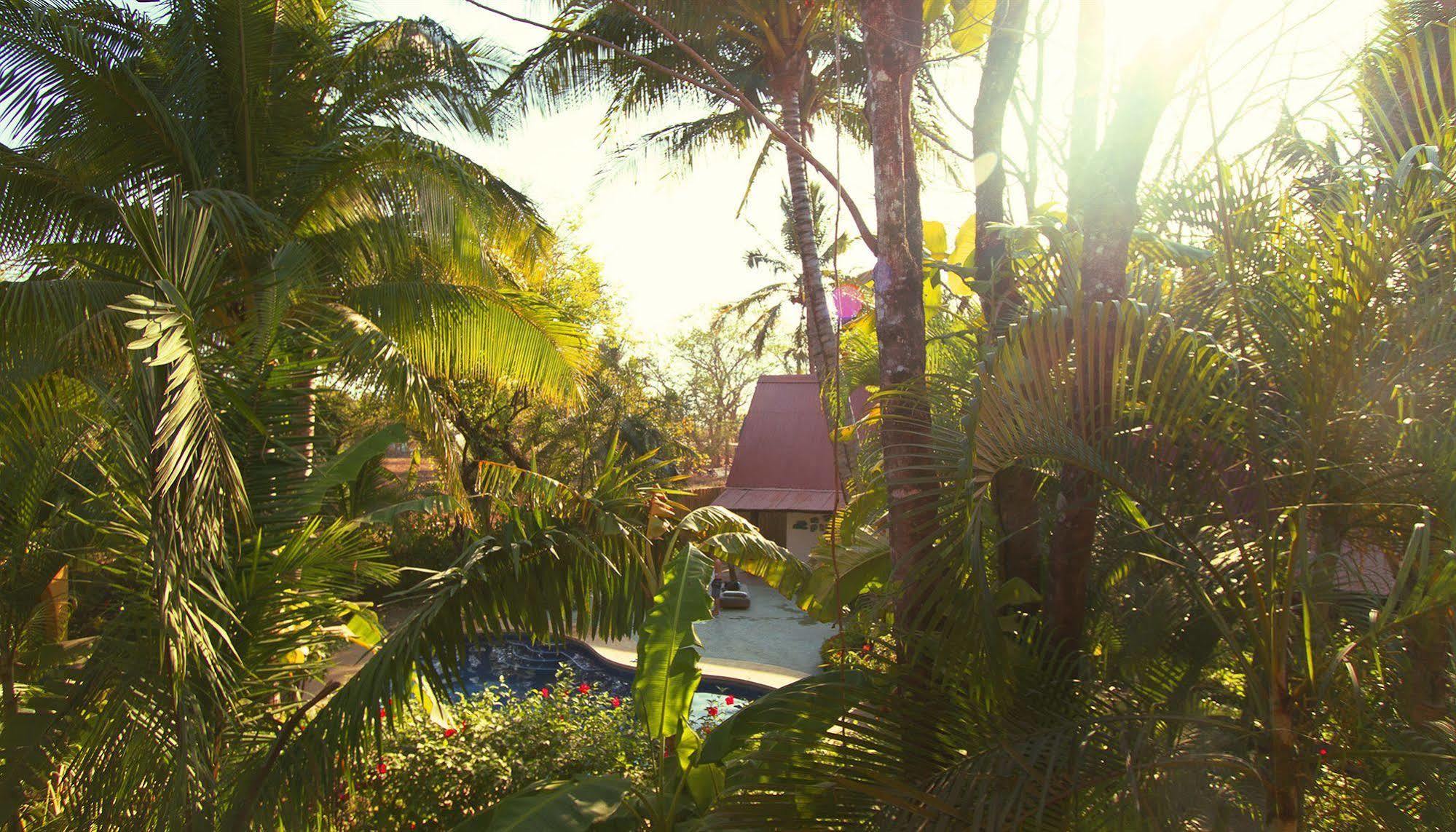 Hotel The Sunset Shack Nosara Exterior foto