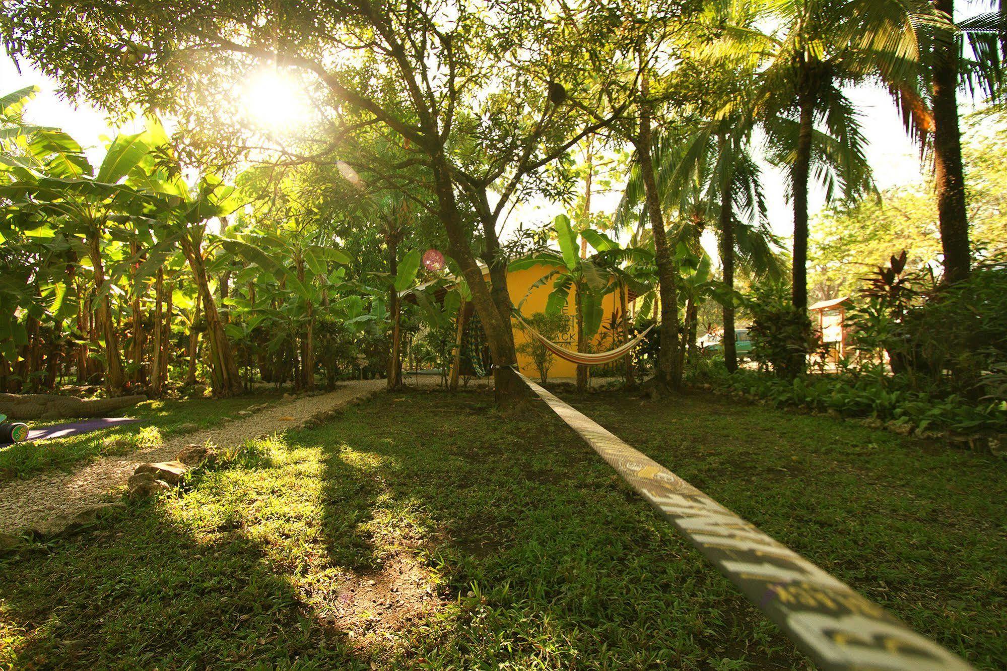 Hotel The Sunset Shack Nosara Exterior foto