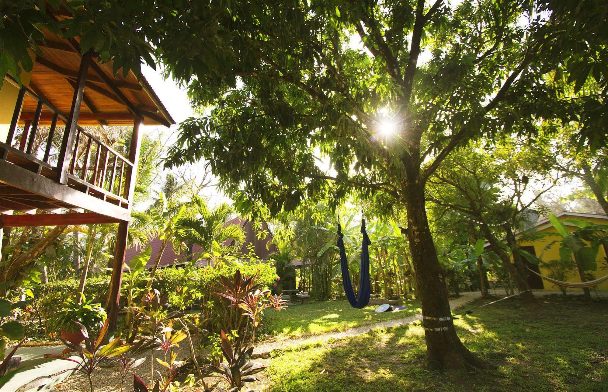 Hotel The Sunset Shack Nosara Exterior foto